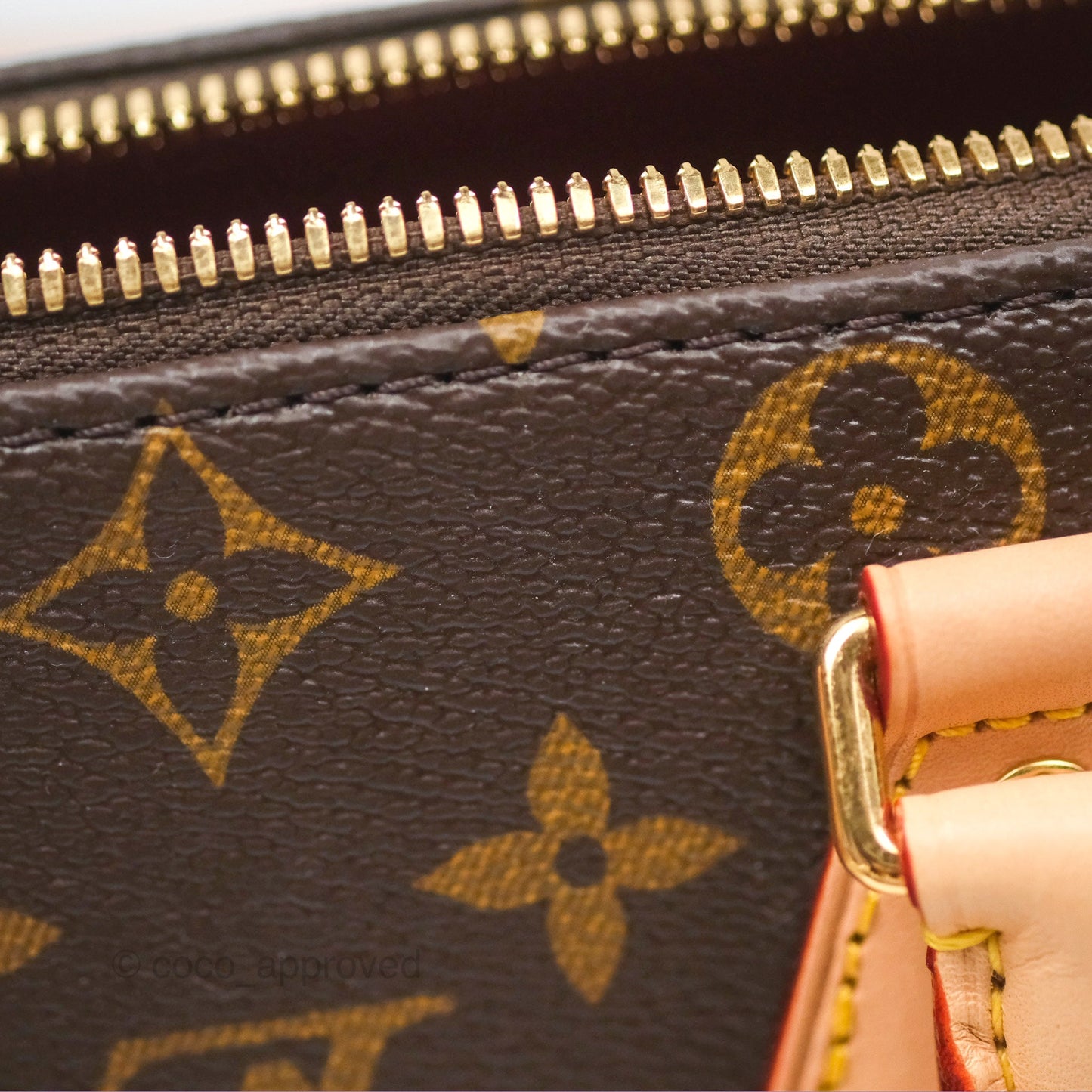 Louis Vuitton Speedy Bandoulière 20 Monogram