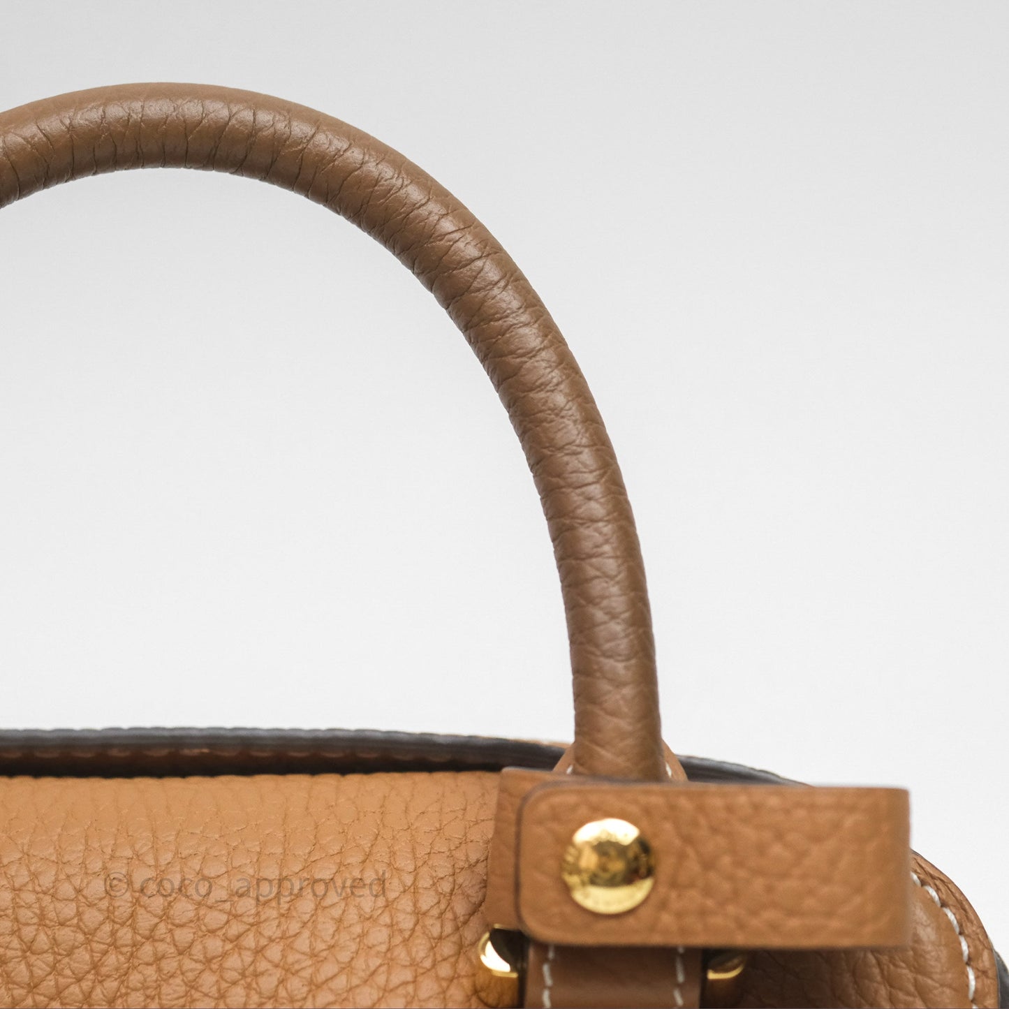 Delvaux Cool Box Nano Taurillon Soft Grained Calfskin Vegetal Ivory Gold Hardware
