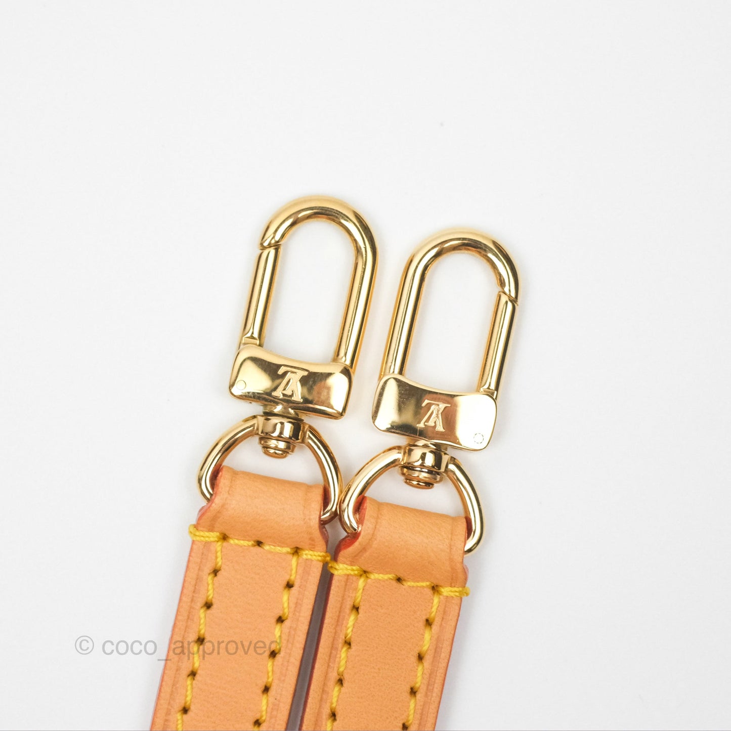 Louis Vuitton Nano Noe Monogram Canvas