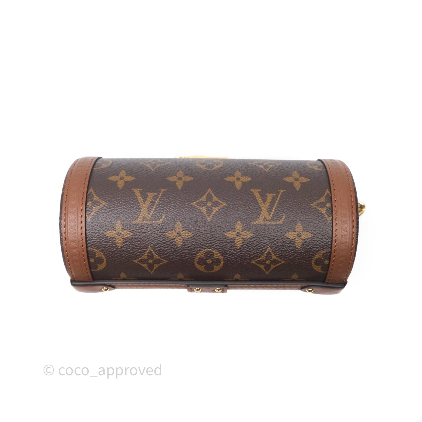Louis Vuitton Papillon Trunk Monogram Coated Canvas