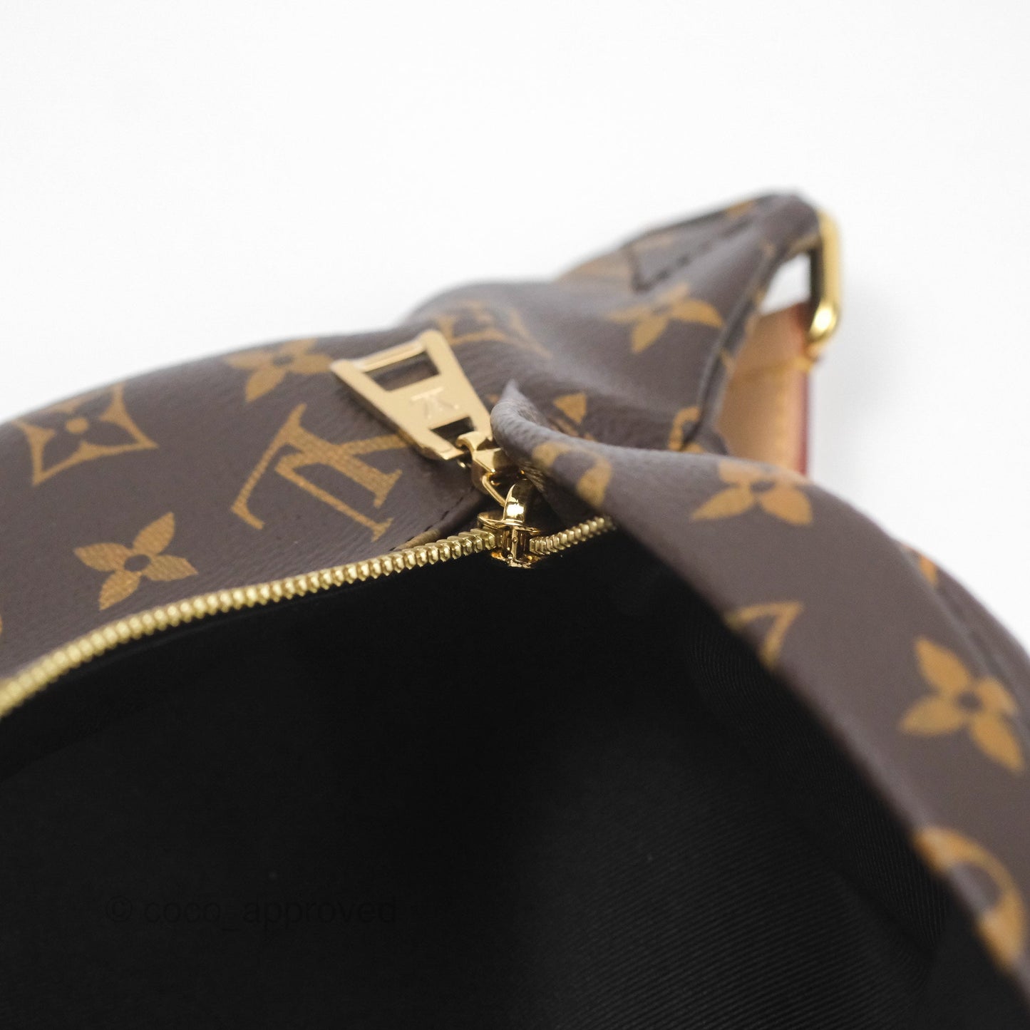 Louis Vuitton Bum Bag Monogram Canvas