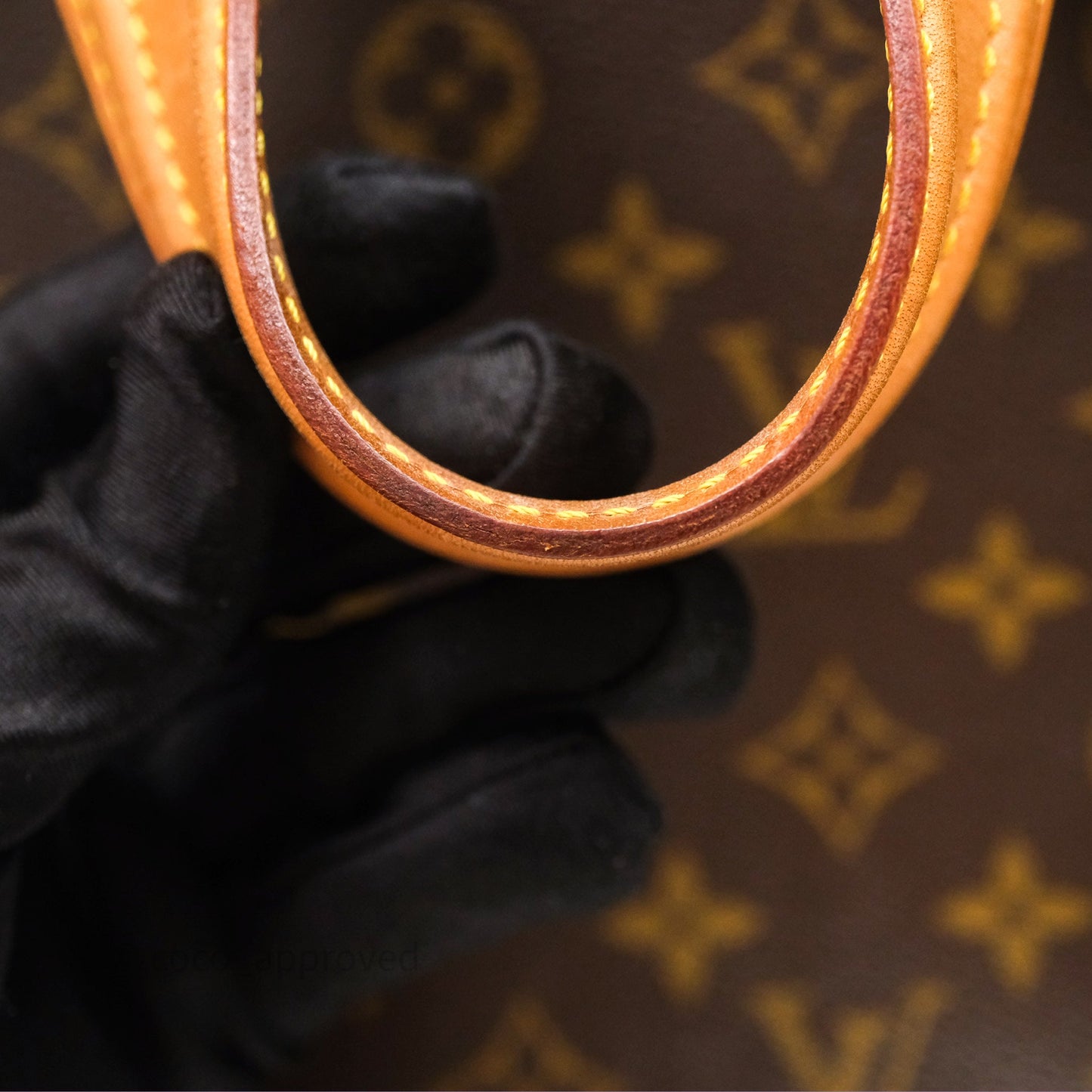 Louis Vuitton Multipli-Cite Tote Monogram Canvas