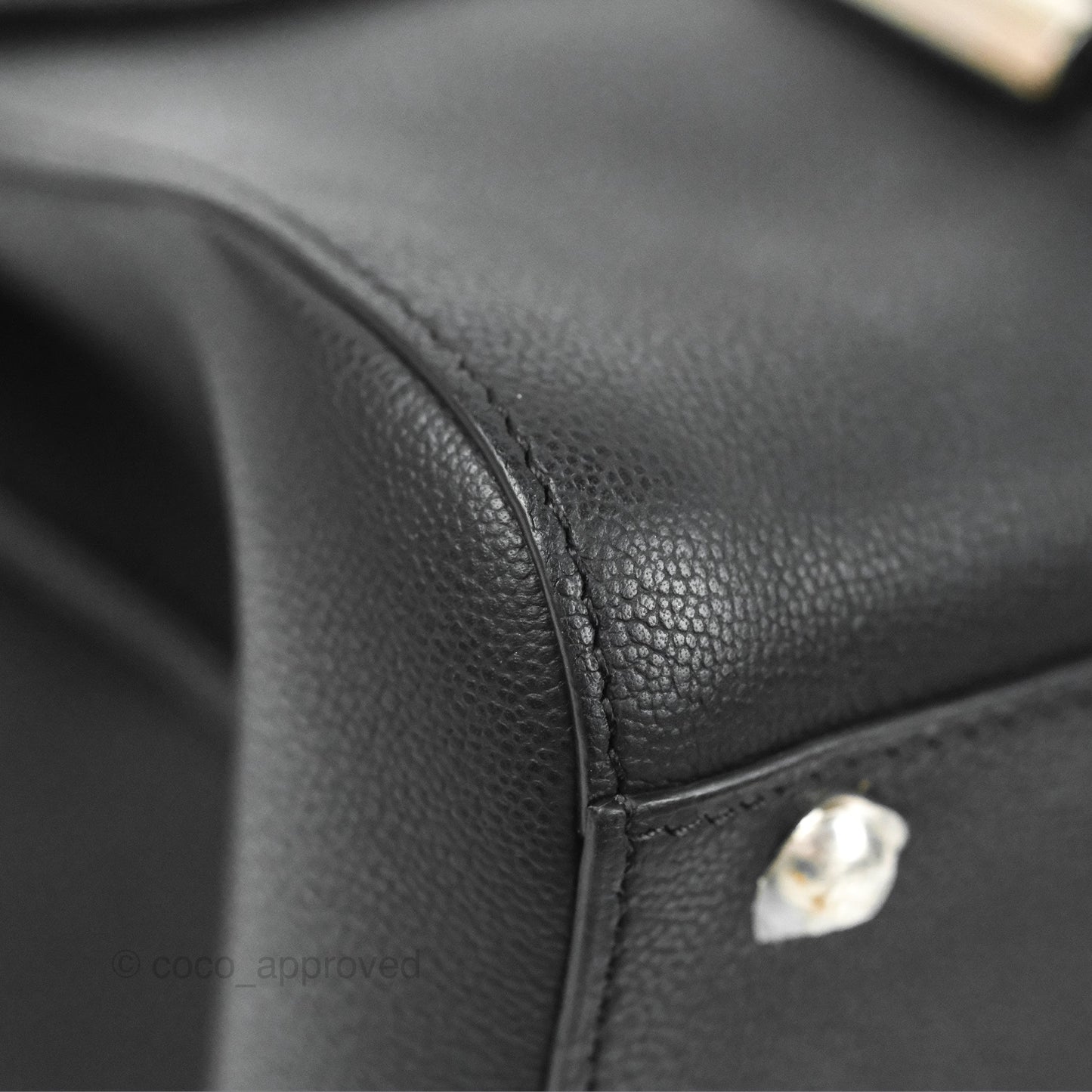 Delvaux Mini Brillant Bag Vegetal Rodeo Black Calf Silver Hardware