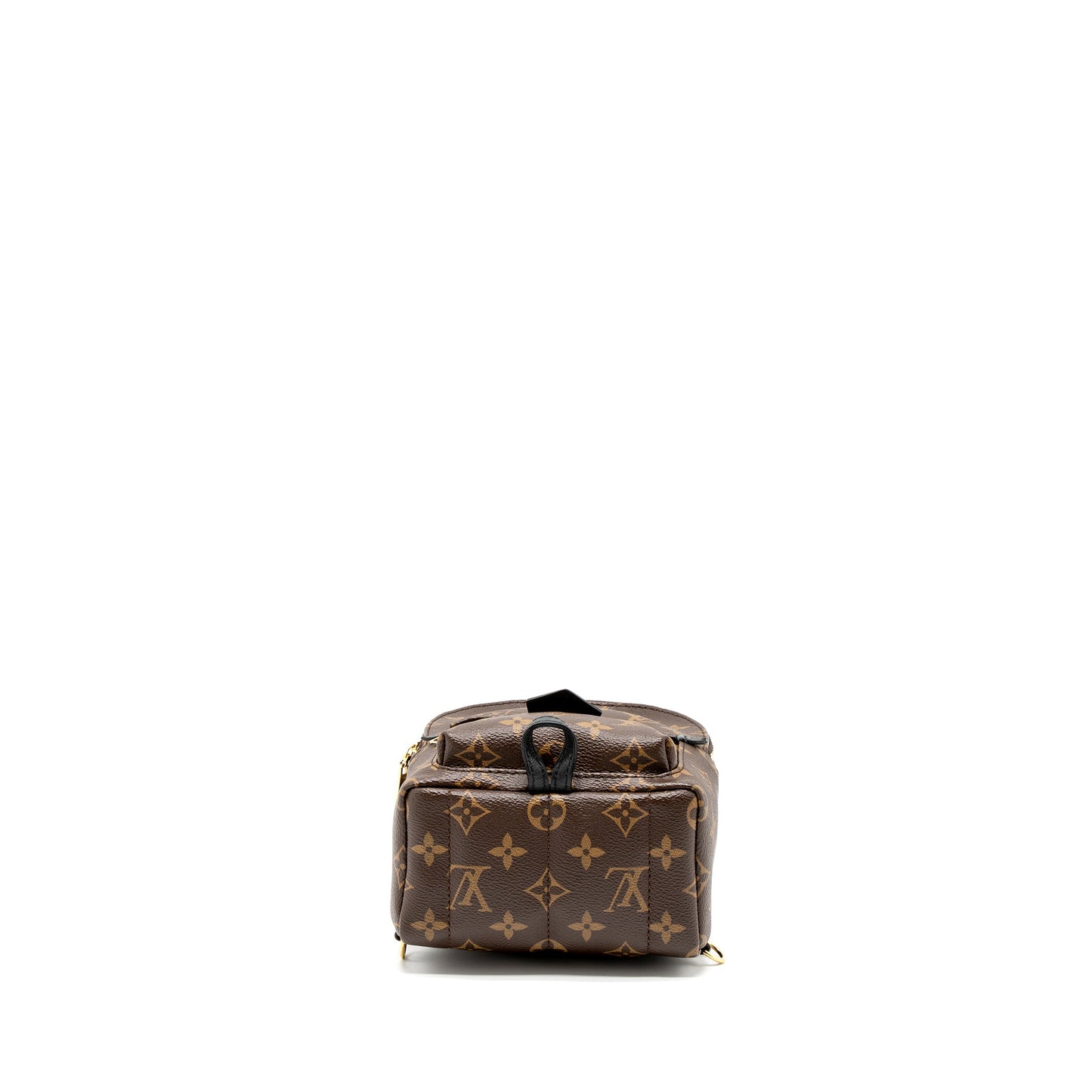 Louis Vuitton Mini Palm Spring Backpack Monogram Canvas GHW (New Version)