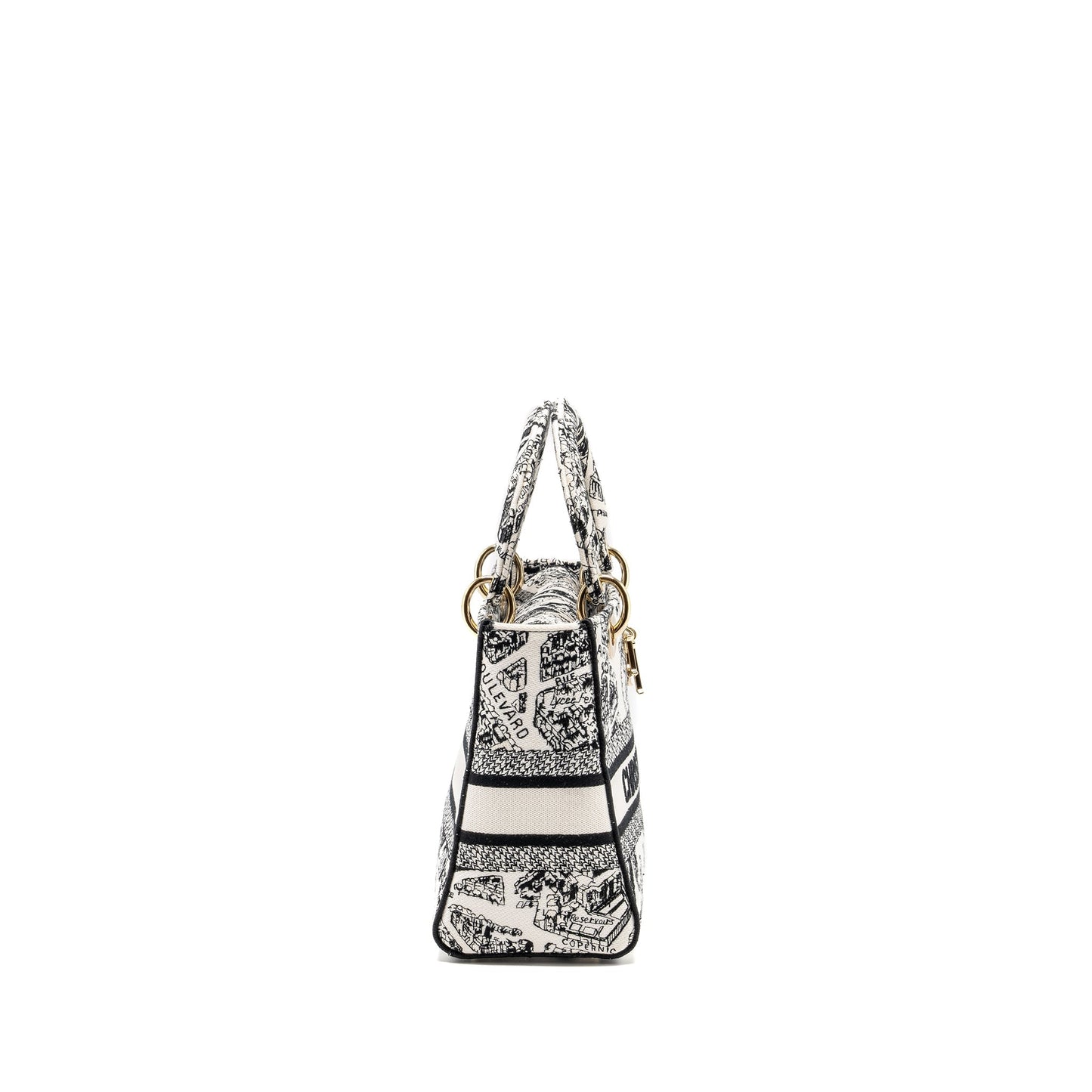Luxury Dior Medium Lady D-lite Bag Plan De Paris Embroidery Canvas Black/White LGHW
