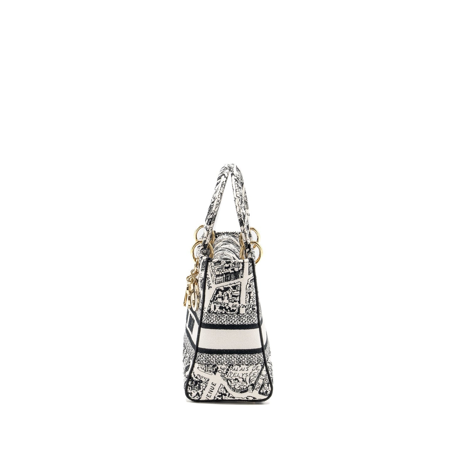 Luxury Dior Medium Lady D-lite Bag Plan De Paris Embroidery Canvas Black/White LGHW