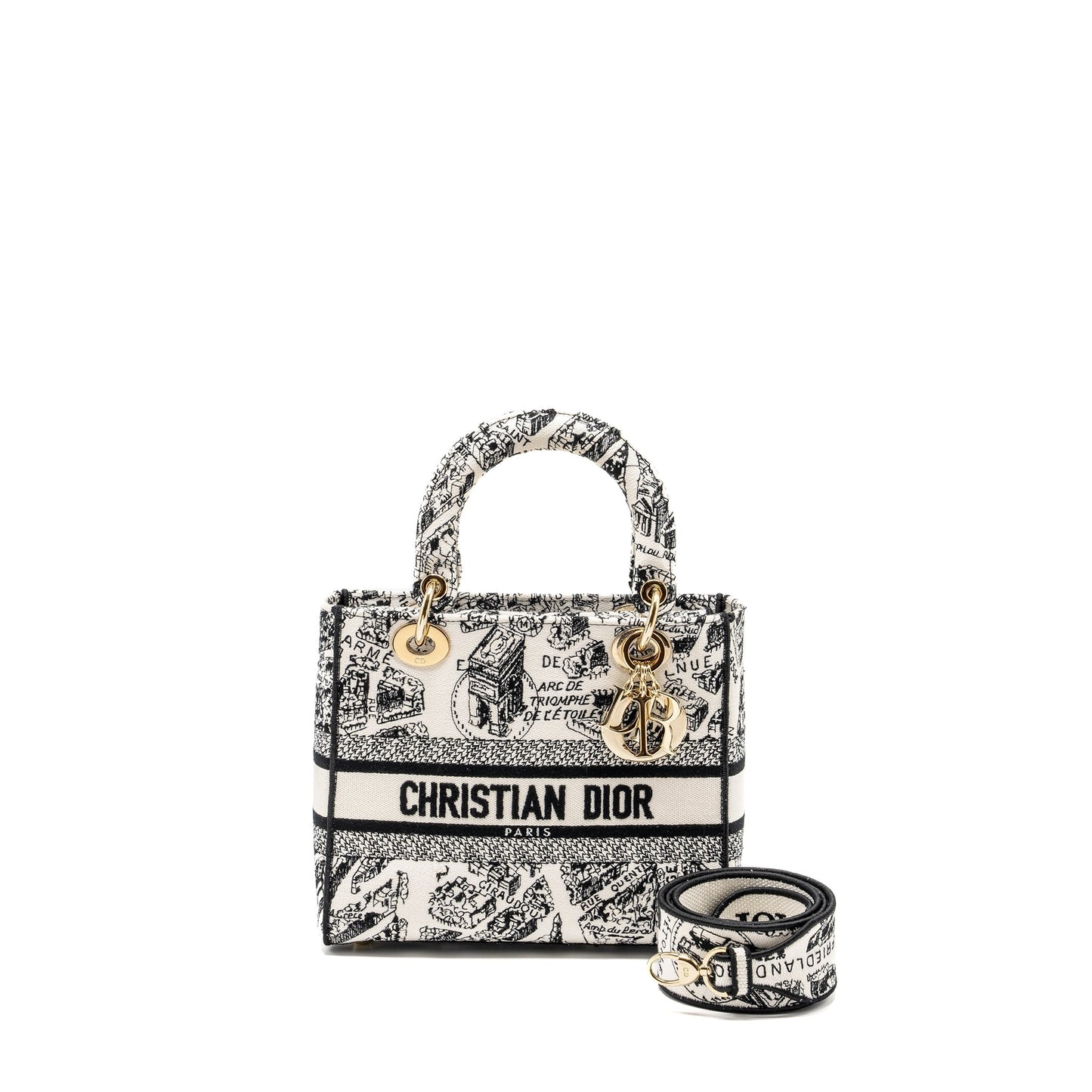 Luxury Dior Medium Lady D-lite Bag Plan De Paris Embroidery Canvas Black/White LGHW