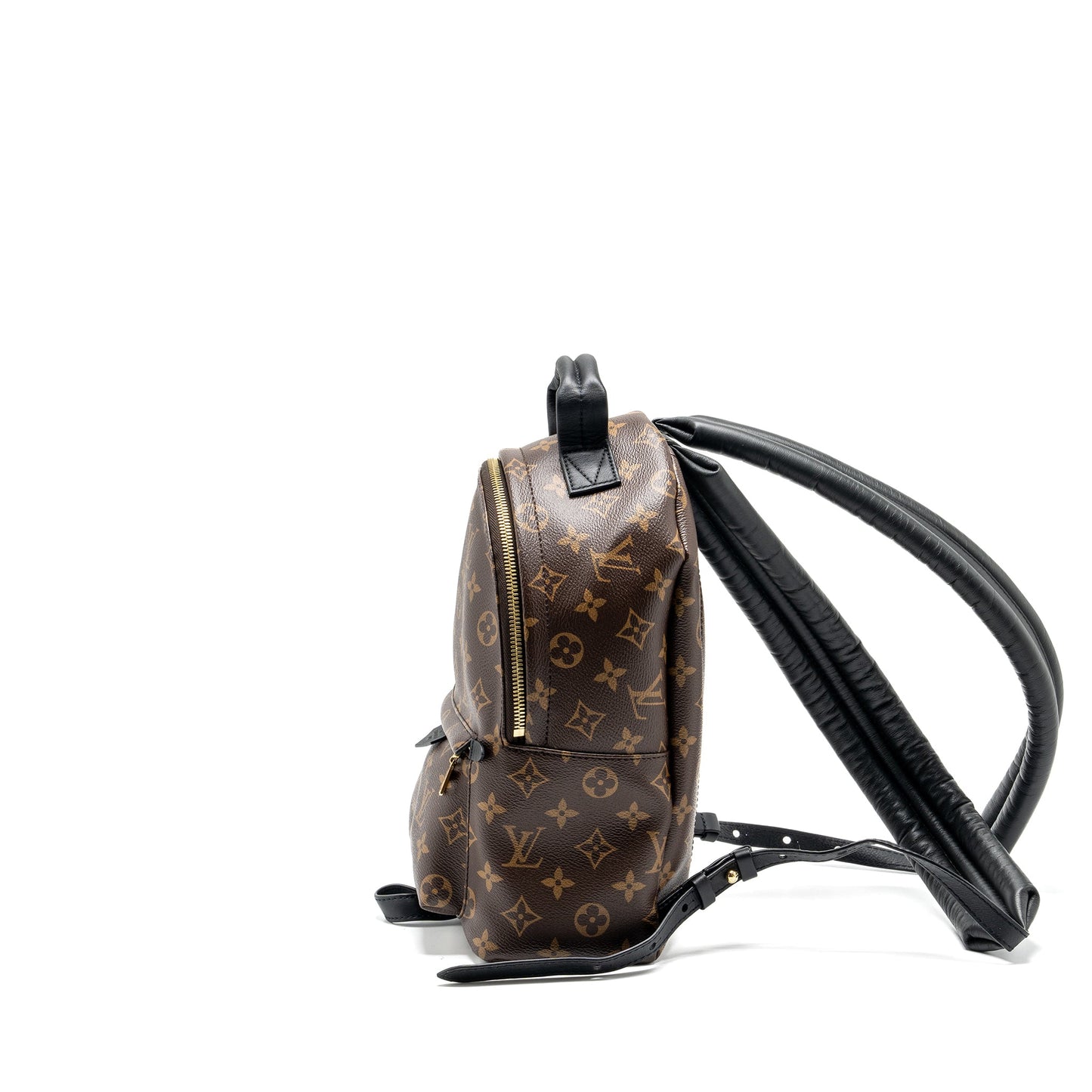 Louis Vuitton Palm Spring PM Backpack Monogram canvas GHW