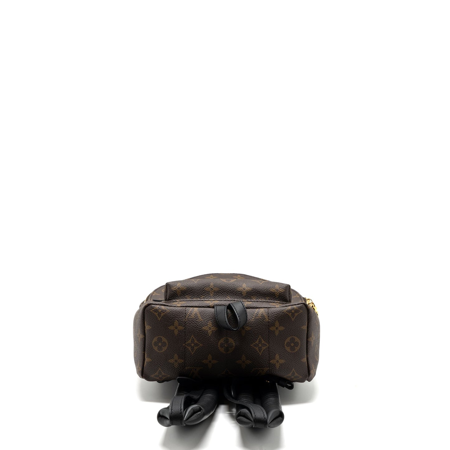Louis Vuitton Palm Spring Backpack PM Monogram Canvas GHW