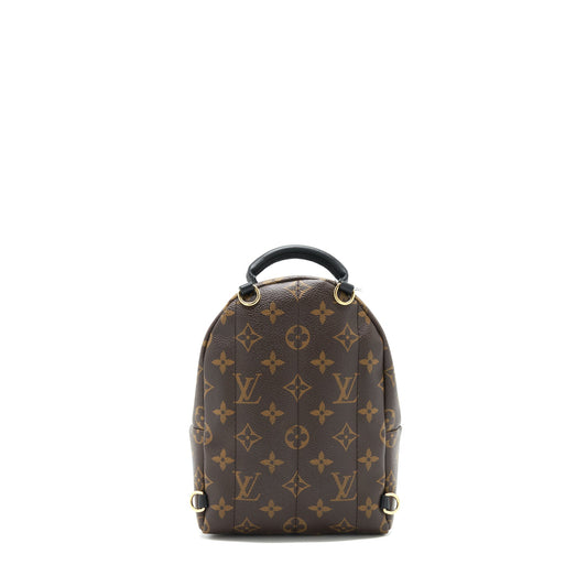 Louis Vuitton Palm Spring Mini Backpack limited Edition