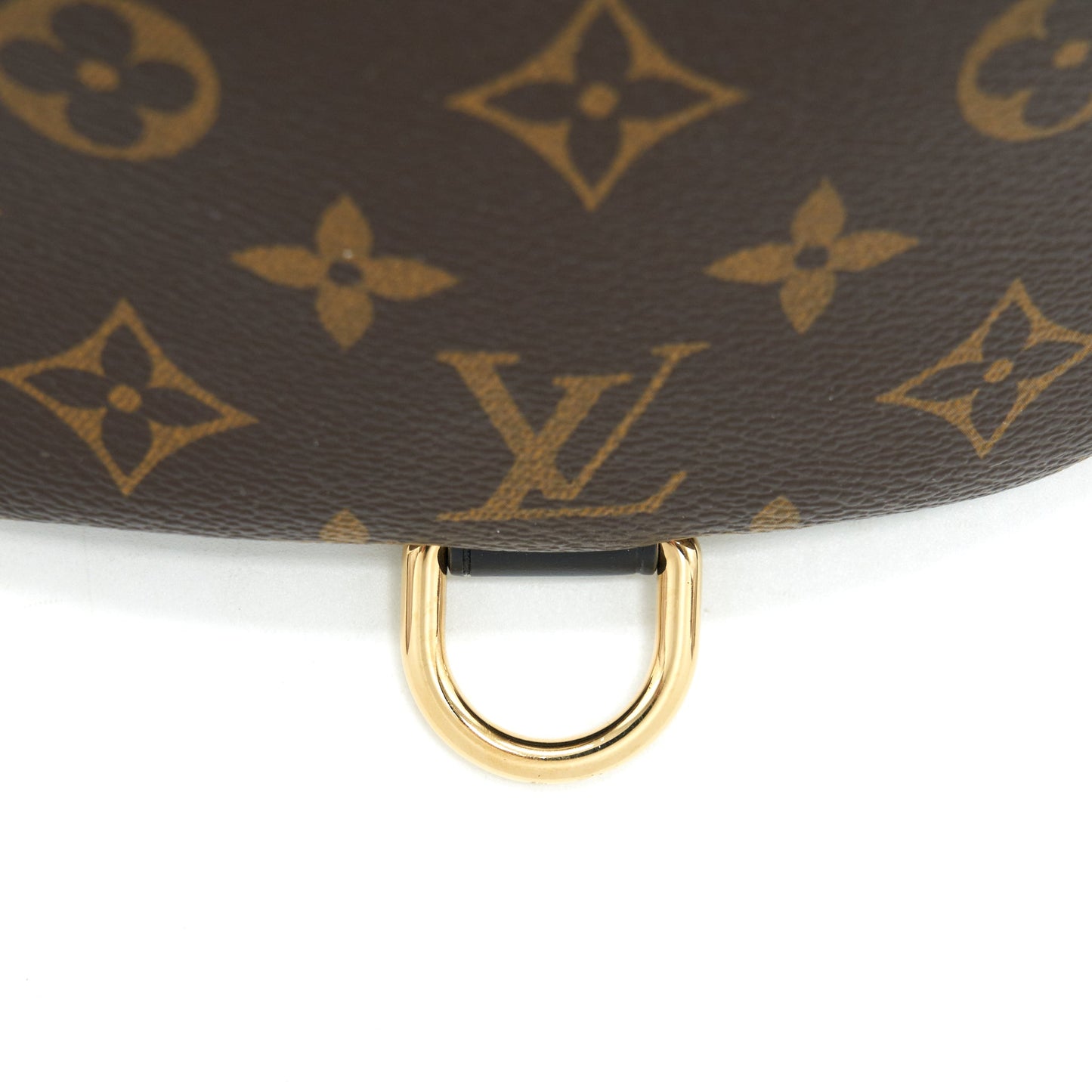 Louis Vuitton My LV World Tour Bumbag Monogram Canvas/ Black