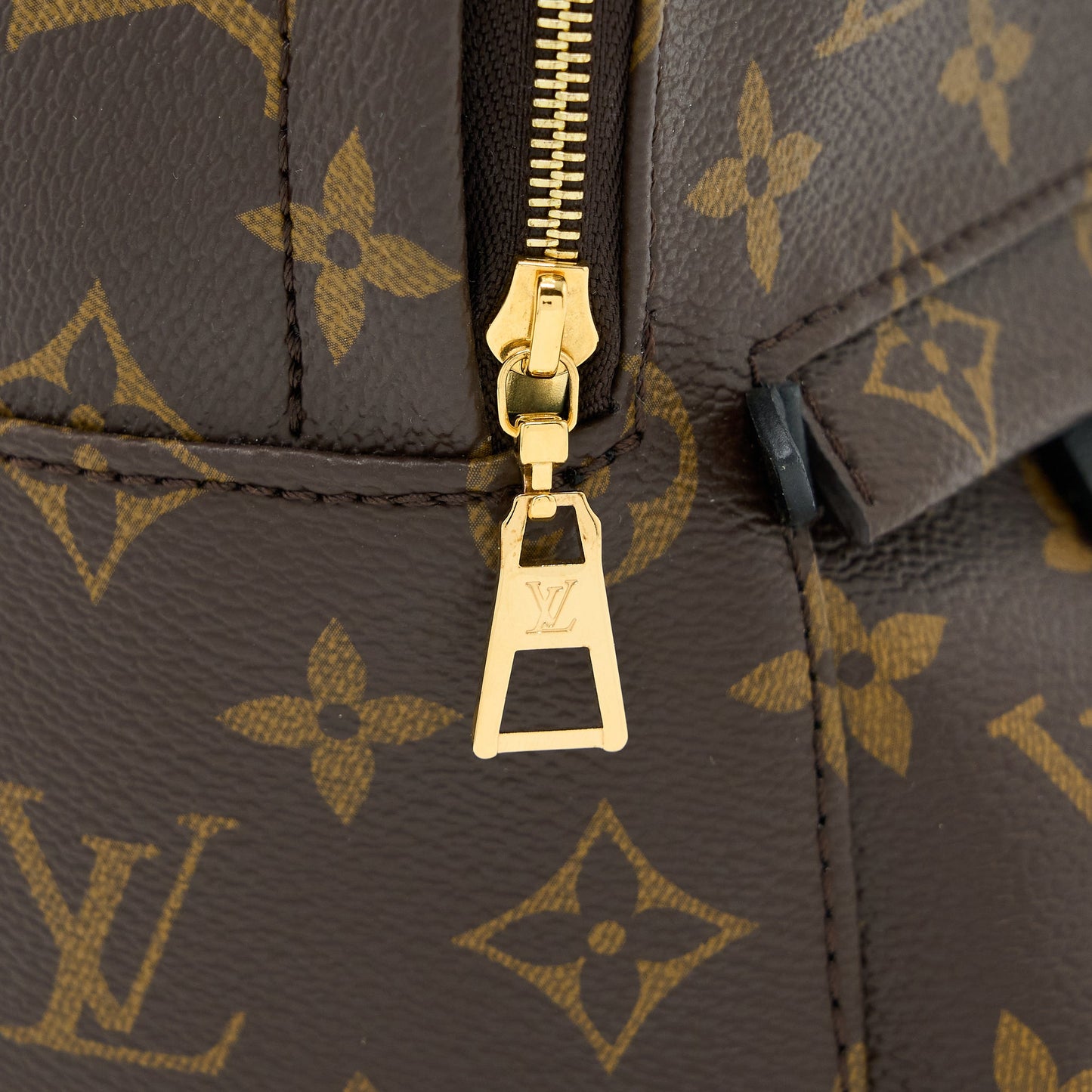 Louis Vuitton Palm Spring Mini Backpack Monogram Canvas GHW