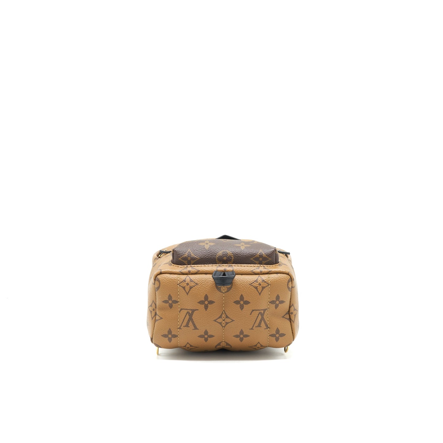 Louis Vuitton Palm Spring Mini Backpack Monogram Canvas