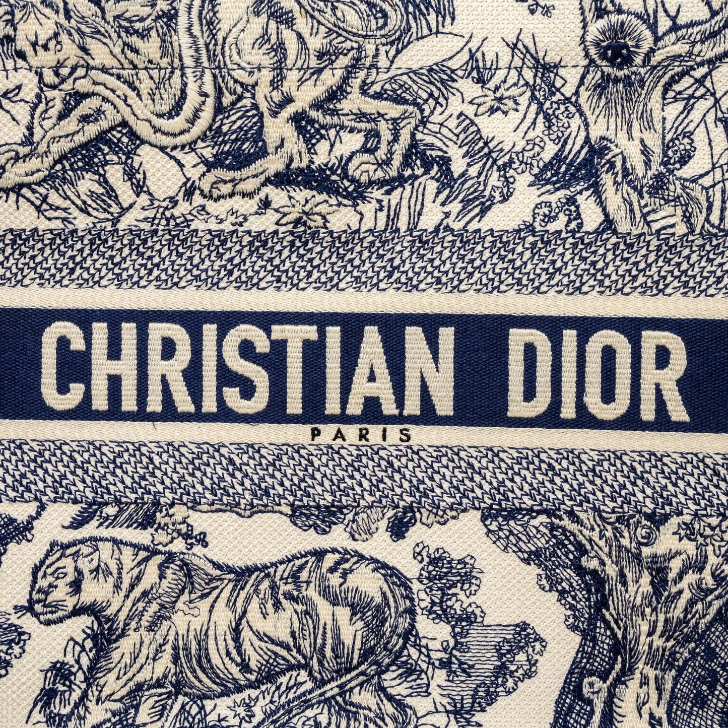 Dior Medium Book Tote Blue Toile de Jouy Embroidery