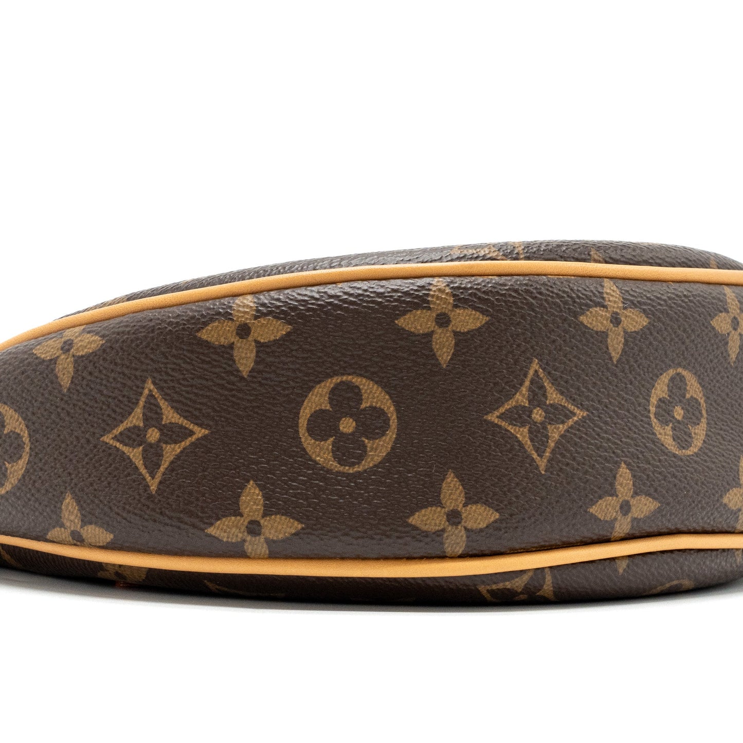 Louis Vuitton Loop Bag Monogram Canvas GHW(New Version)