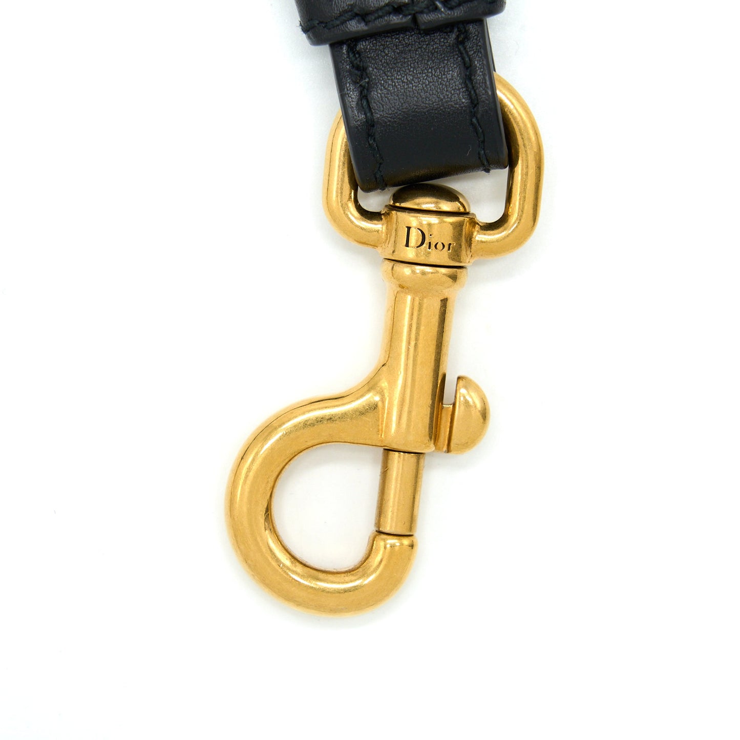 Dior Shoulder Strap Multicolour GHW