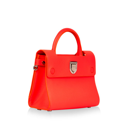 Luxury Dior Luxury Diorever Mini