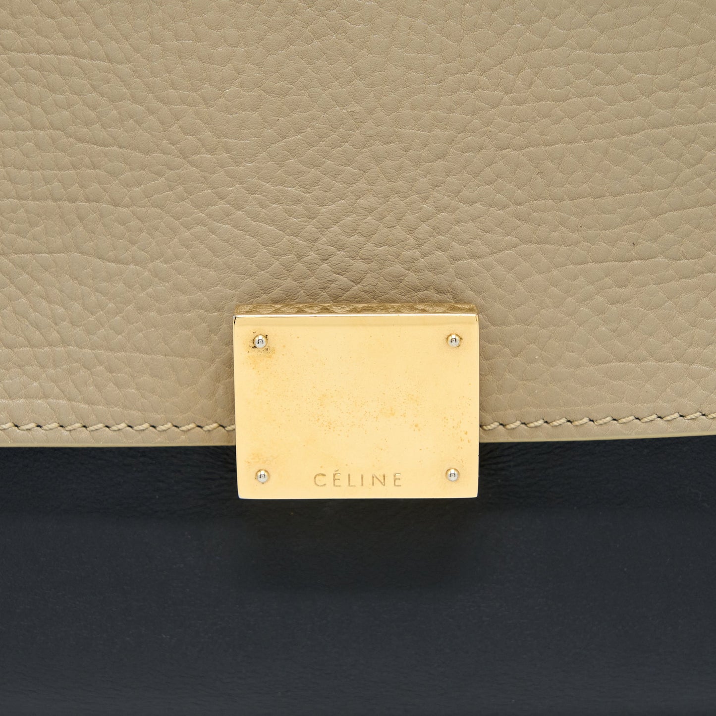 Celine Trapeze Bag Multicolour GHW