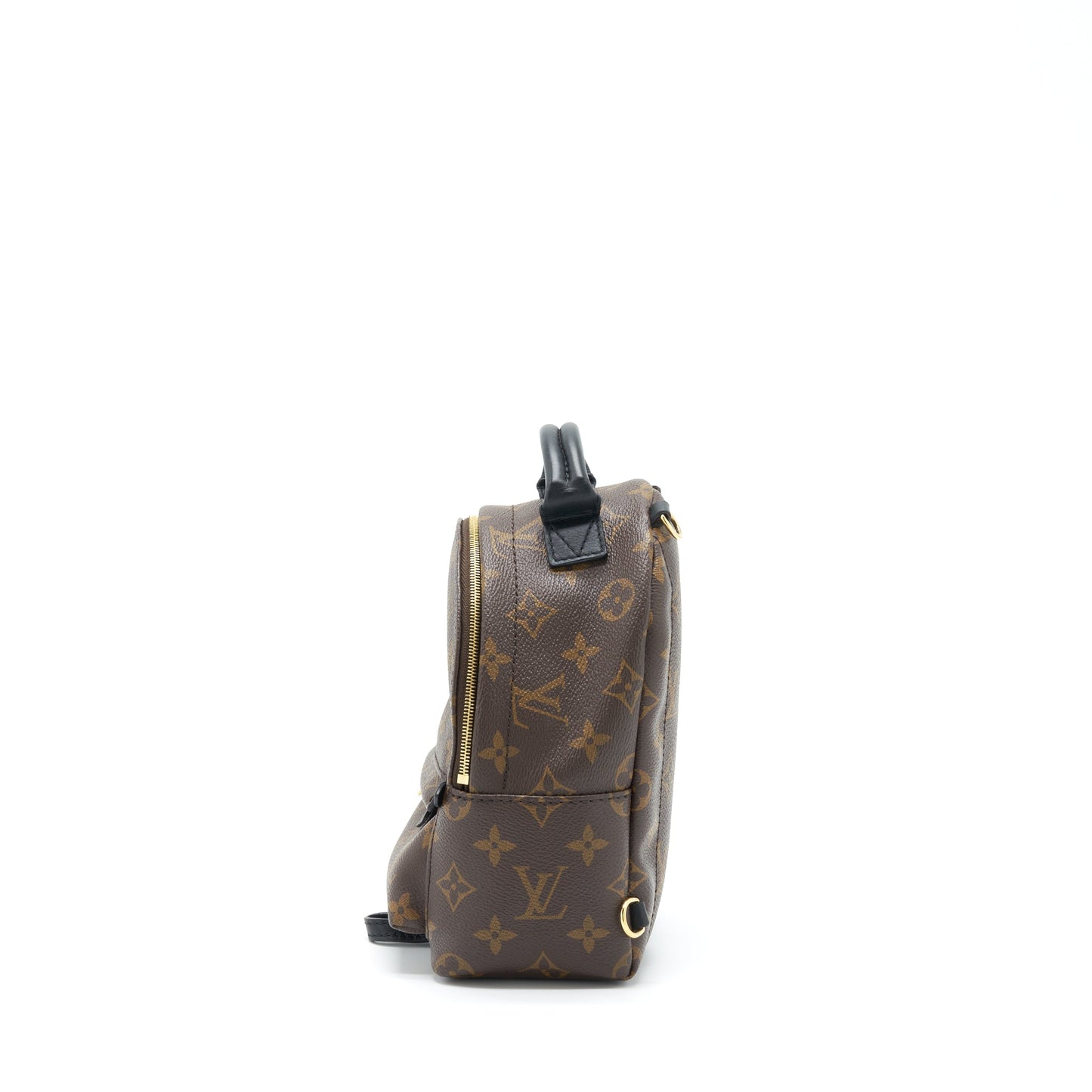 Louis Vuitton Palm Spring Mini Backpack Monogram Canvas New Zipper