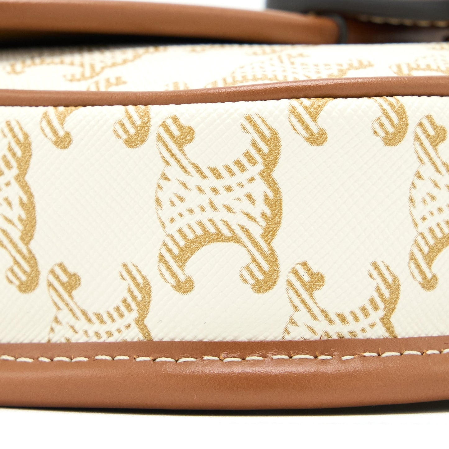 Celine Mini Besace Triomphe Canvas/Calfskin White GHW
