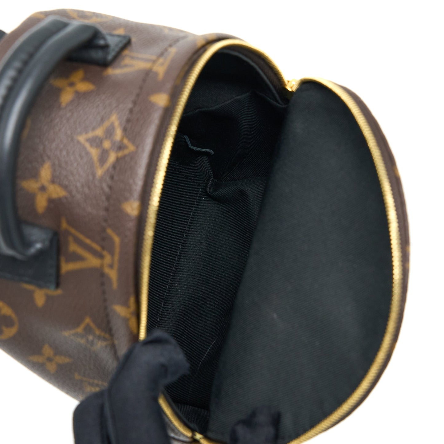 Louis Vuitton Mini Palm Spring Backpack Monogram Canvas GHW (New Version)