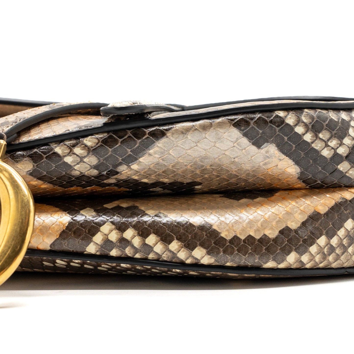 Dior Medium Saddle Bag Python Multicolor GHW