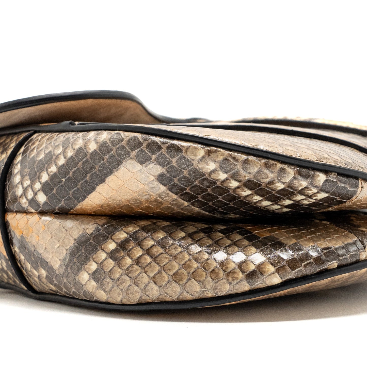 Dior Medium Saddle Bag Python Multicolor GHW
