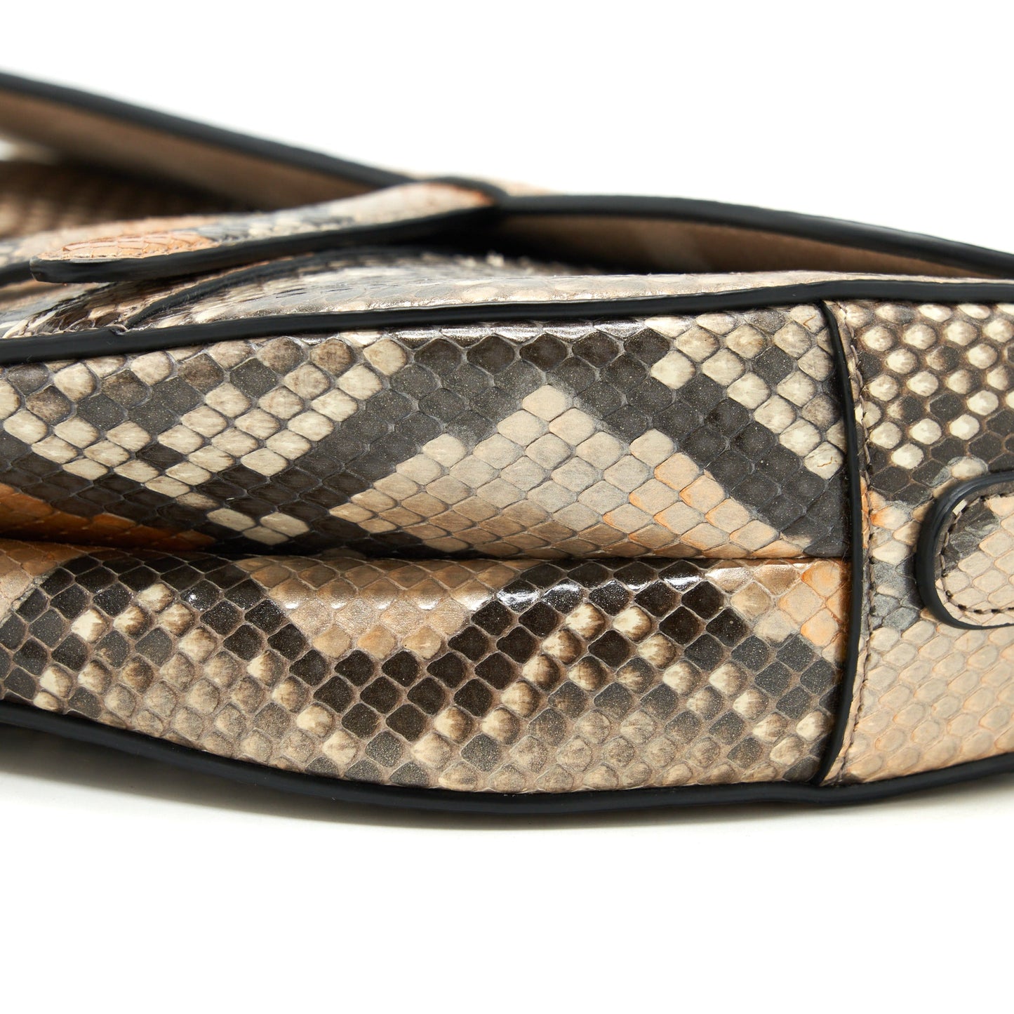 Dior Python Medium Saddle Bag GHW