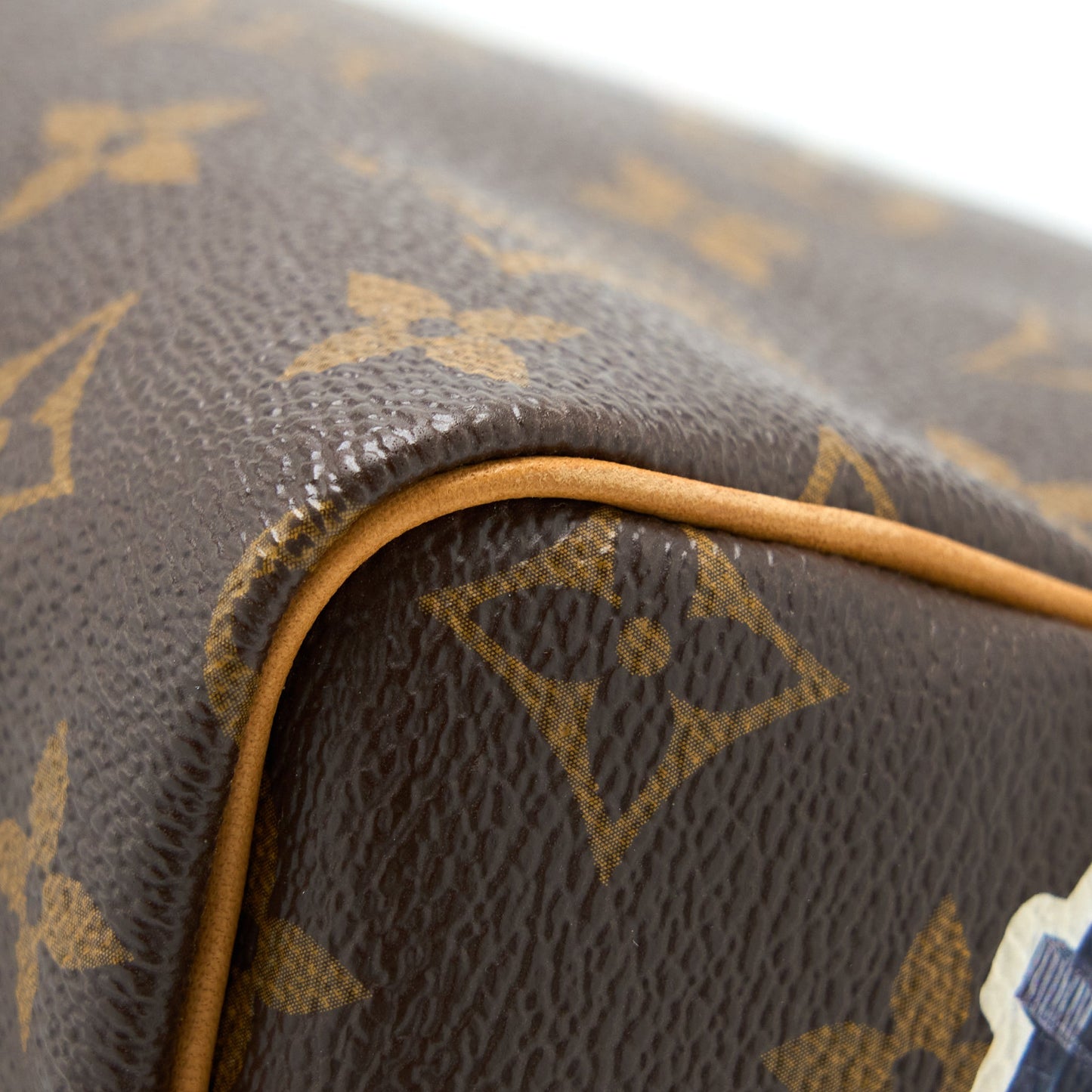 Louis Vuitton Speedy 30 Limited Edition Monogram Canvas GHW