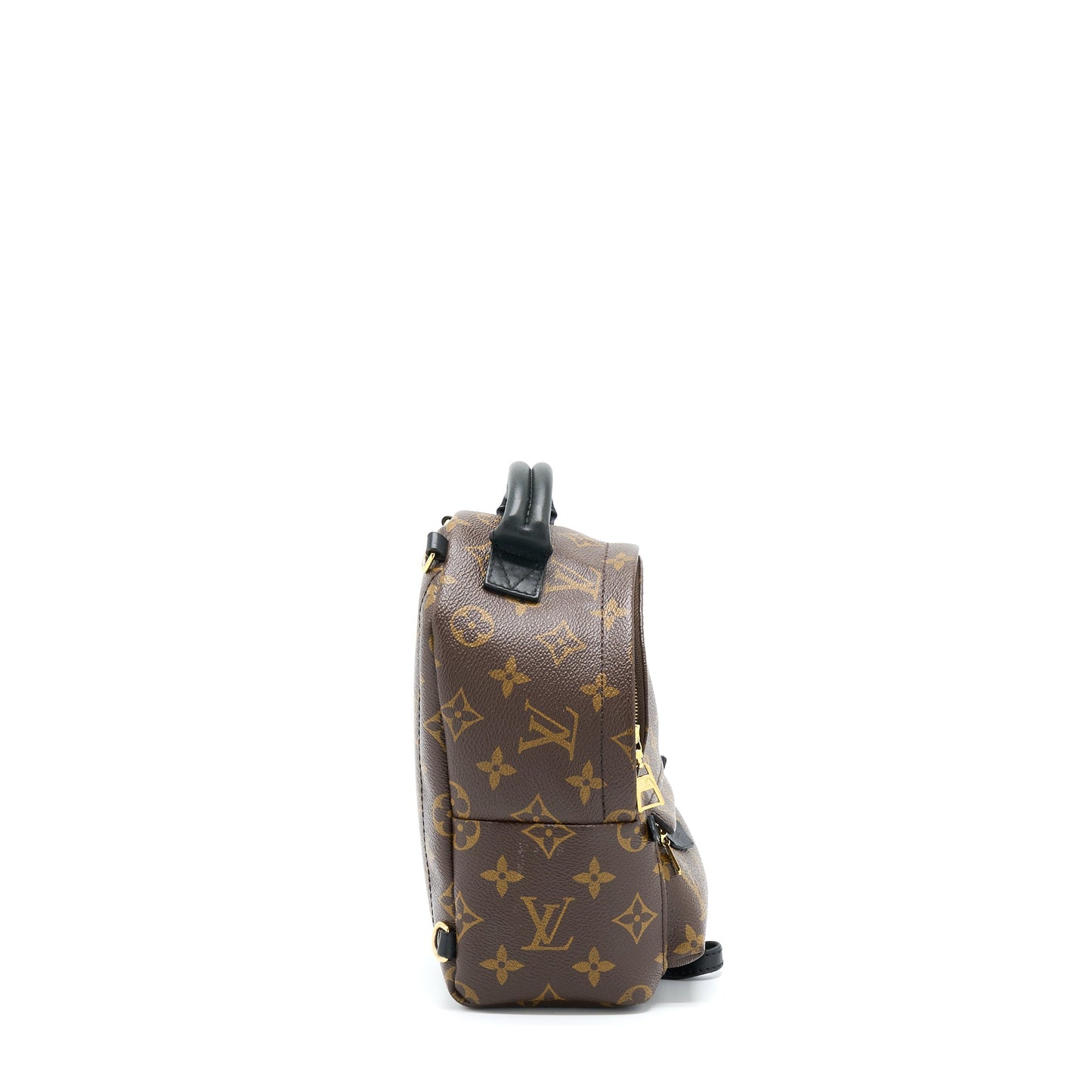 Louis Vuitton Palm Spring Mini Backpack Monogram Canvas GHW