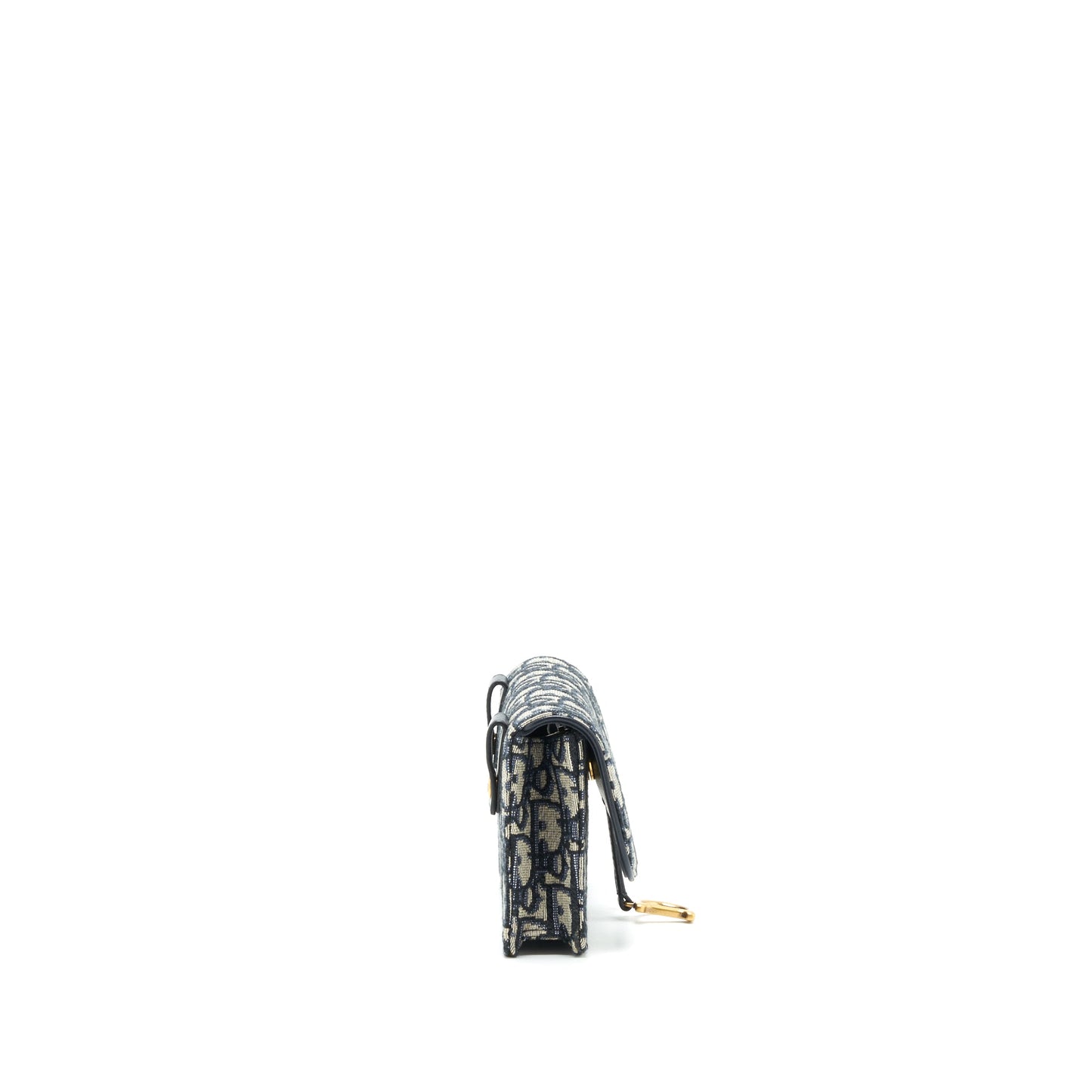 Dior Saddle Belt Pouch Oblique GHW