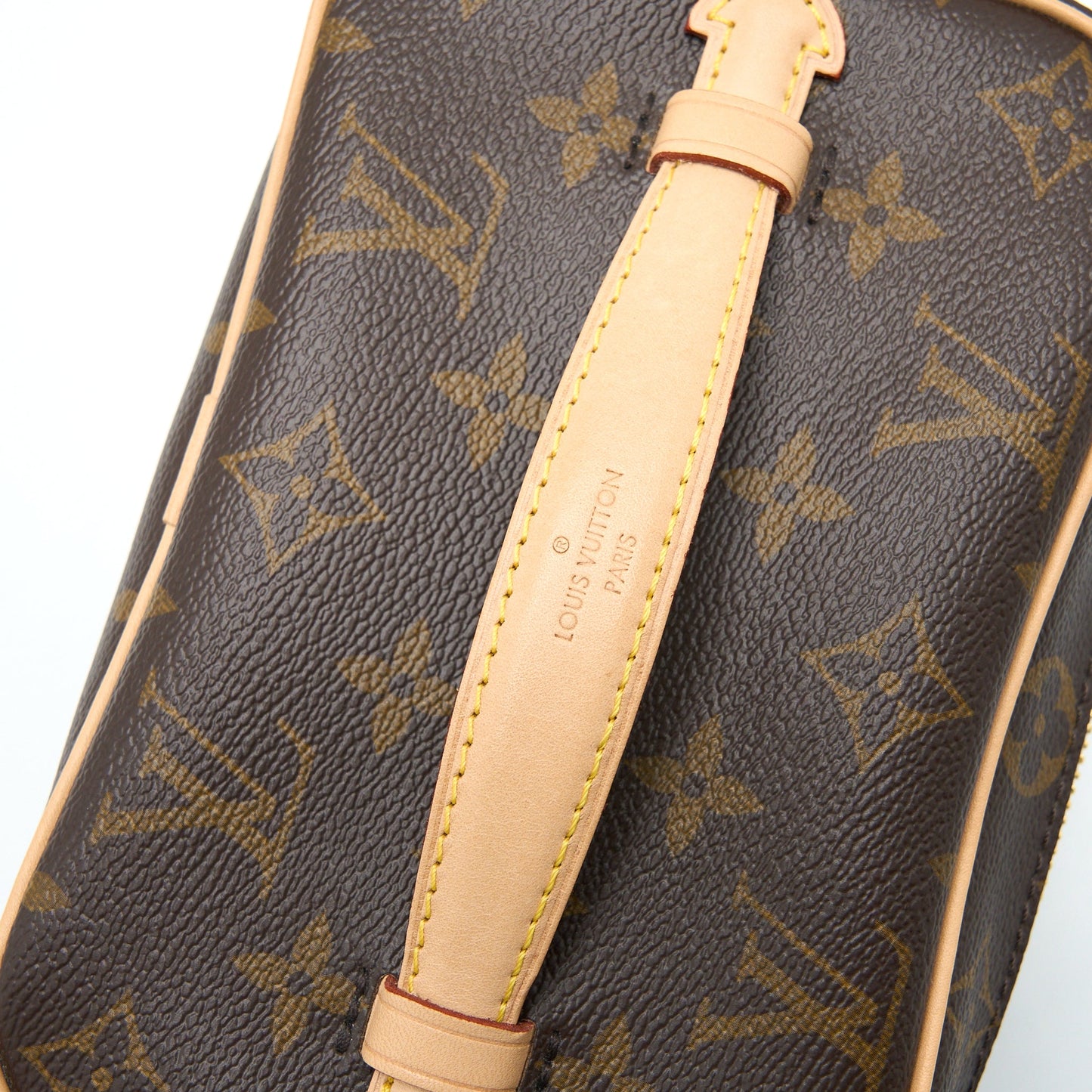 Louis Vuitton Nice Mini Monogram Canvas GHW (New Version)