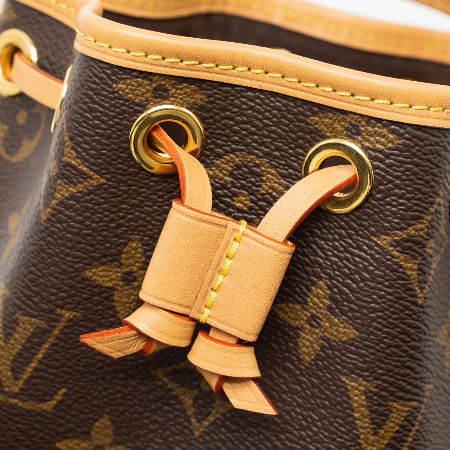 Louis Vuitton Nano Noe Monogram Canvas GHW (New Version)
