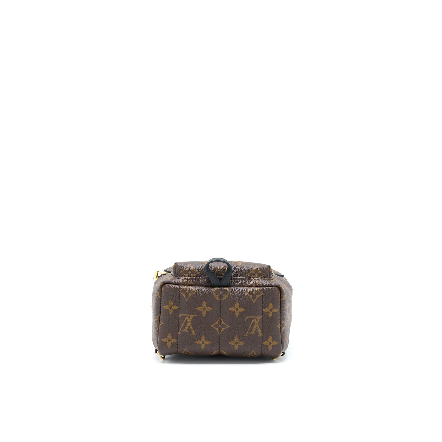 Louis Vuitton Palm Spring Mini Backpack Monogram Canvas GHW