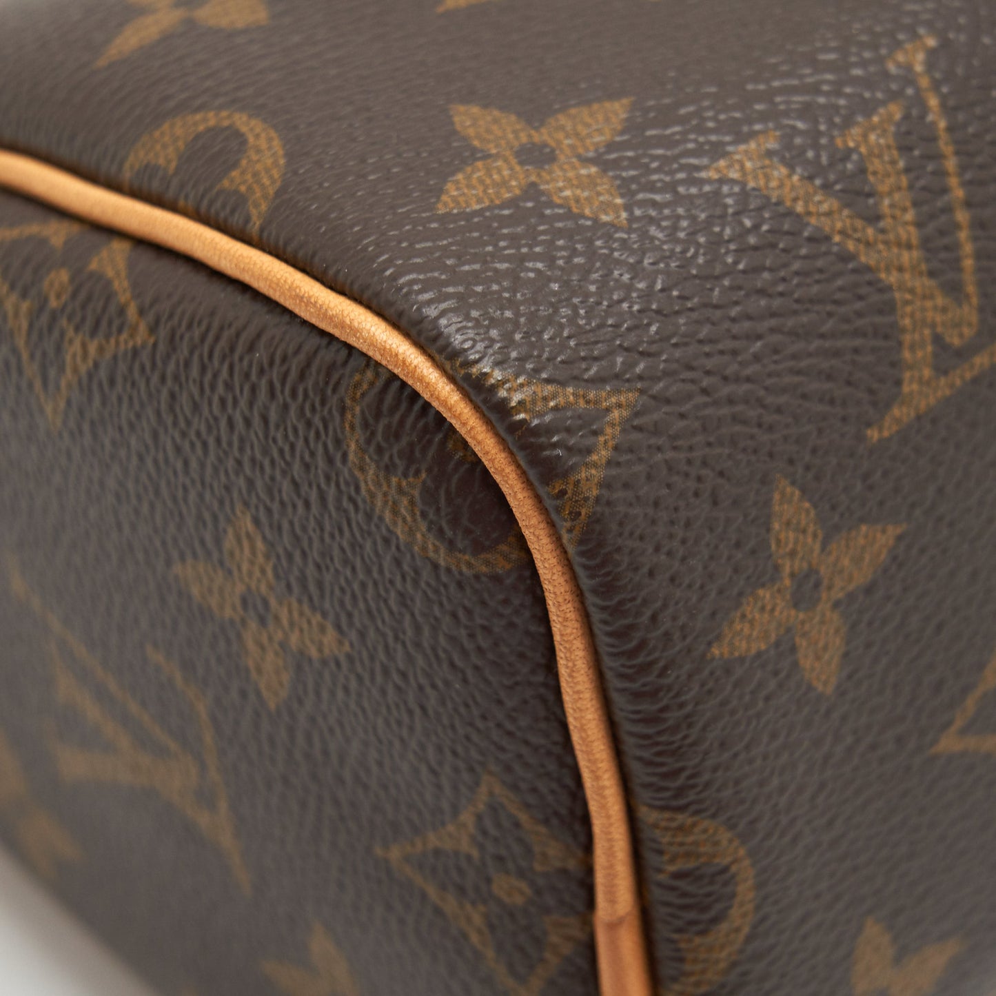 Louis Vuitton nano Speedy Monogram