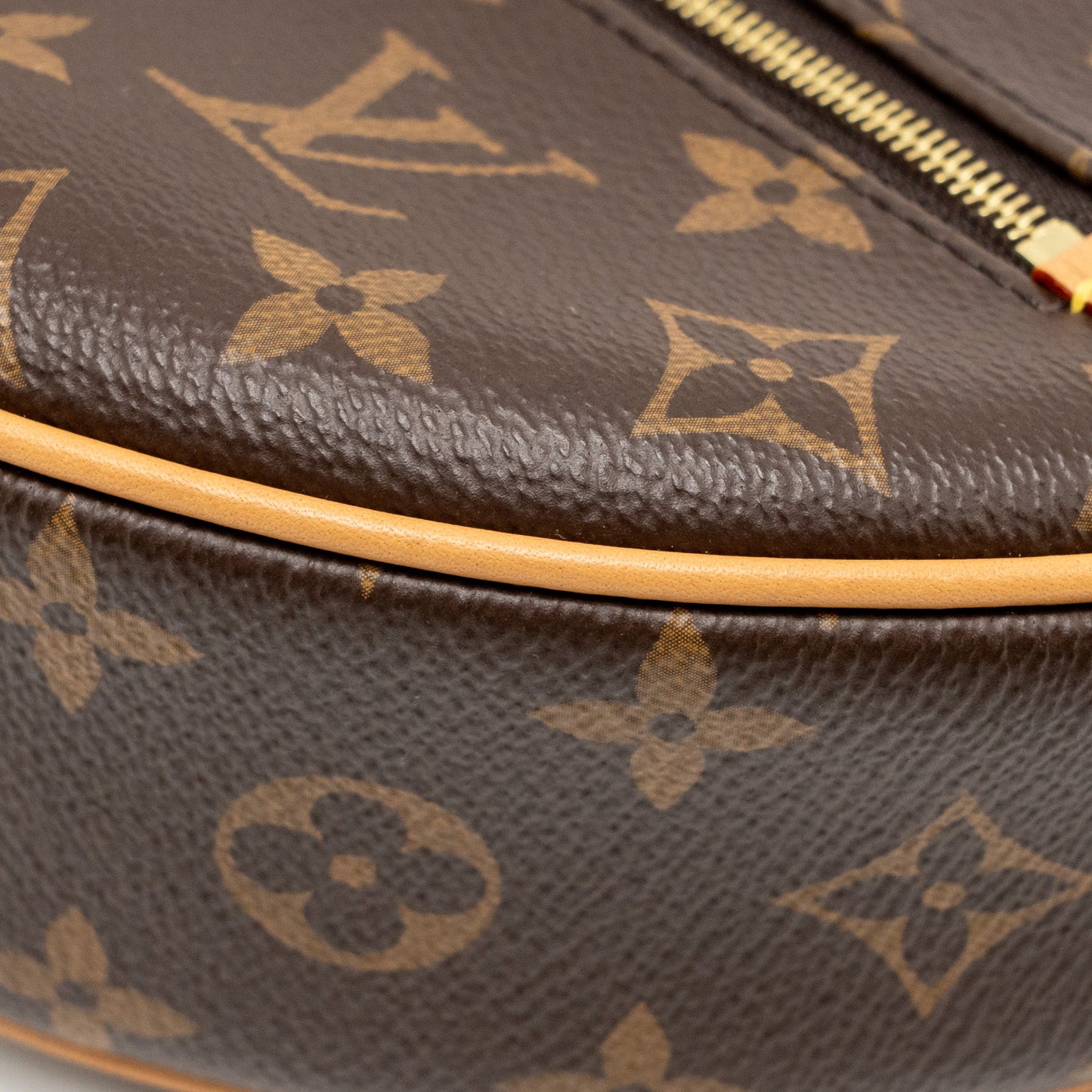 Louis Vuitton Loop bag monogram canvas GHW