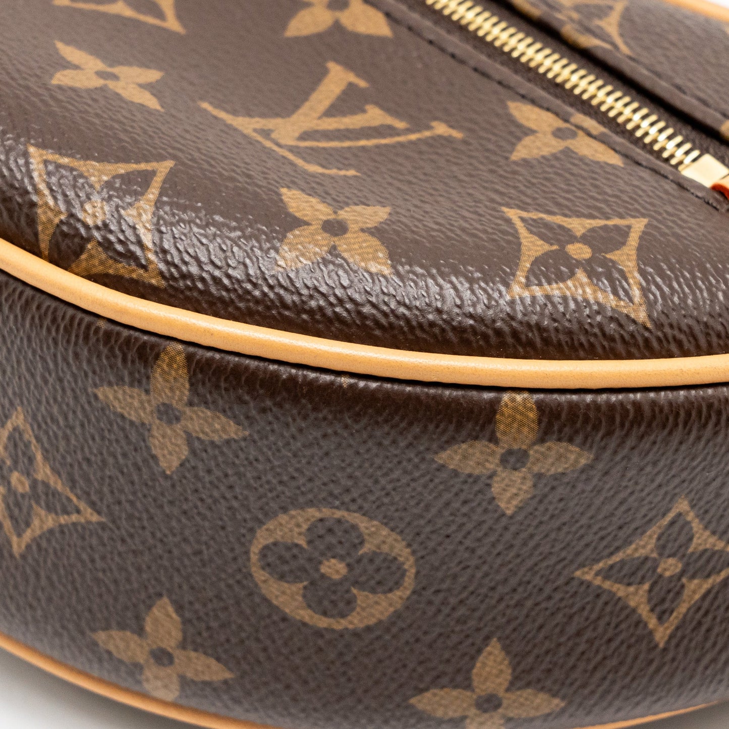 Louis Vuitton Half-moon Loop Baguette Monogram Canvas GHW