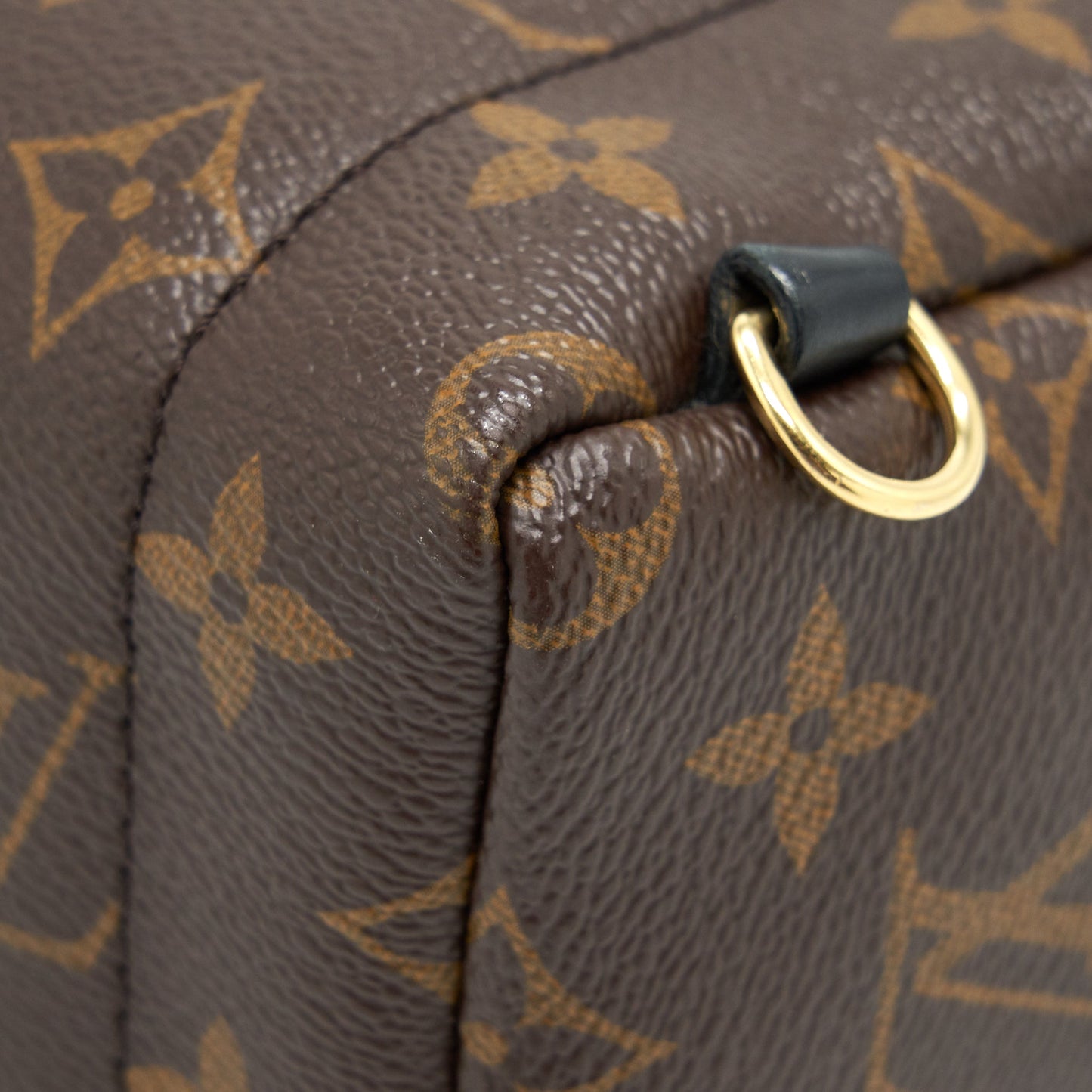 Louis vuitton palm springs Mini Backpack monogam Canvas