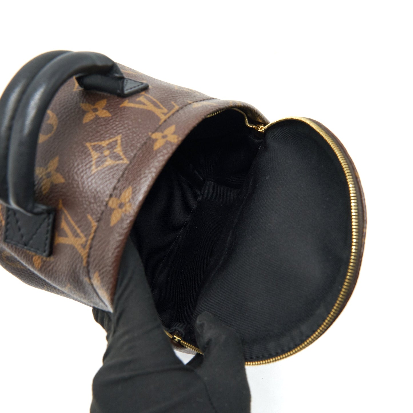 Louis vuitton palm springs Mini Backpack monogam Canvas