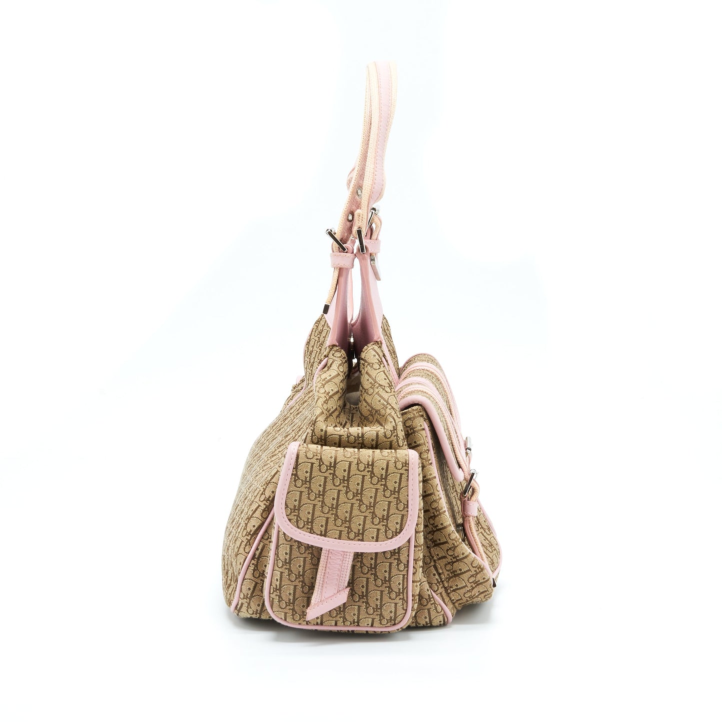 Dior Trotter Street Chic Pocket Diorissimo Hobo Bag Canvas SHW