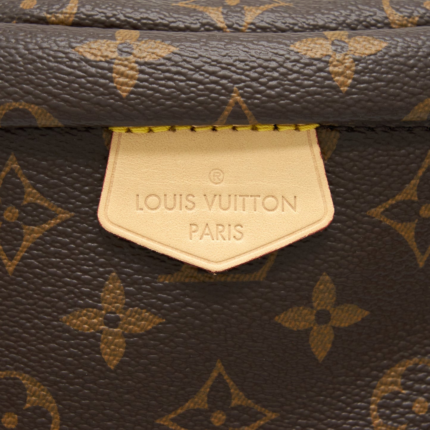 Louis Vuitton Bum Bag Monogram Canvas GHW