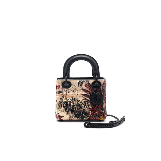 Luxury Dior Mini Luxury Dior Limited Edition year 2019