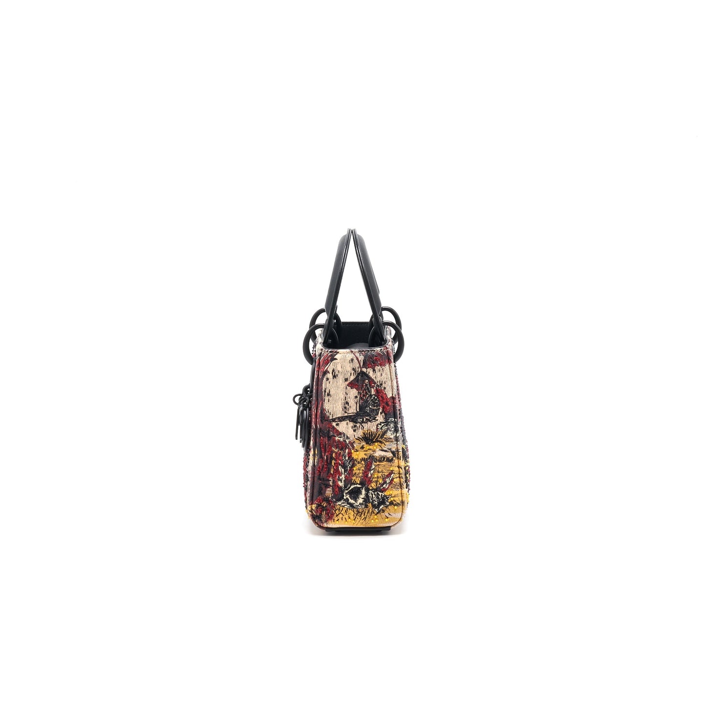 Luxury Dior Mini Luxury Dior Limited Edition year 2019