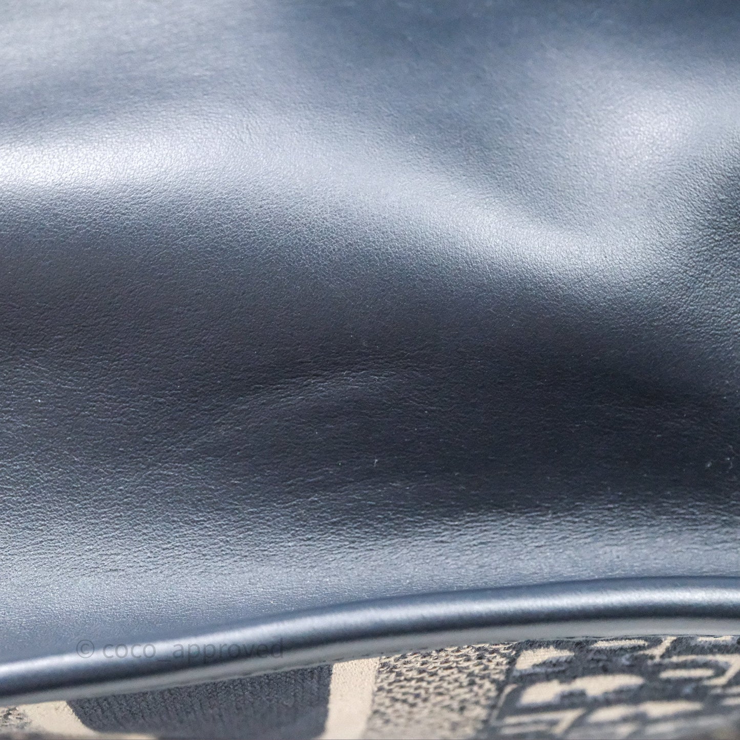 Christian Dior Medium Dior Book Tote Blue Dior Oblique Embroidery and Calfskin