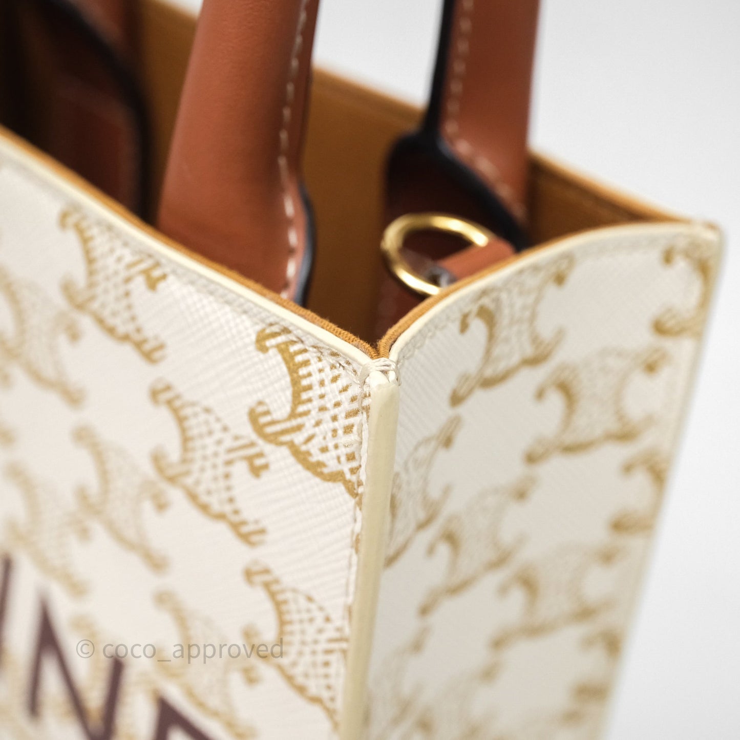 Celine Mini Vertical Cabas Bag Triomphe Canvas White