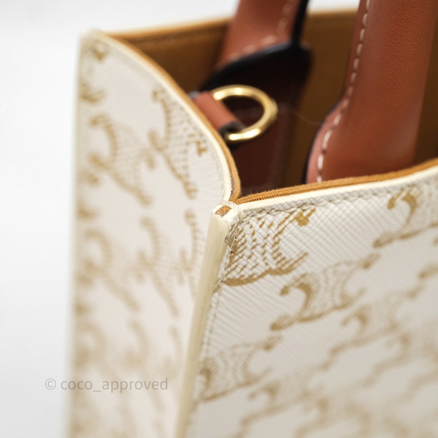 Celine Mini Vertical Cabas Bag Triomphe Canvas White