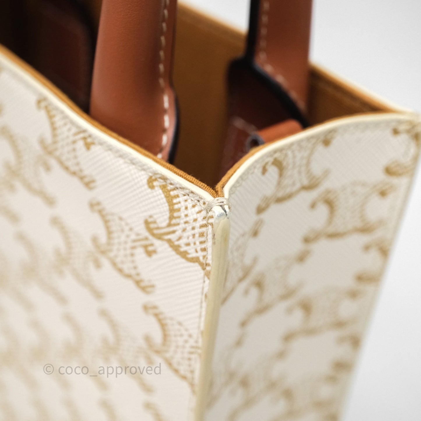 Celine Mini Vertical Cabas Bag Triomphe Canvas White