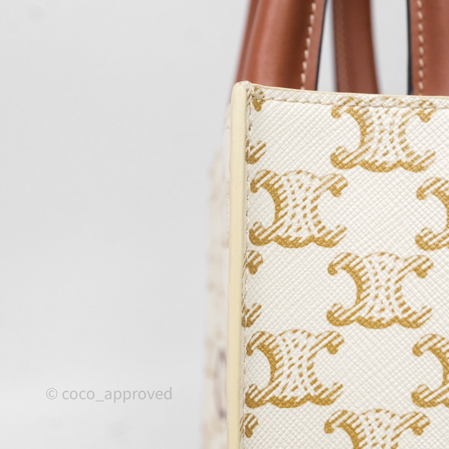 Celine Mini Vertical Cabas Bag Triomphe Canvas White