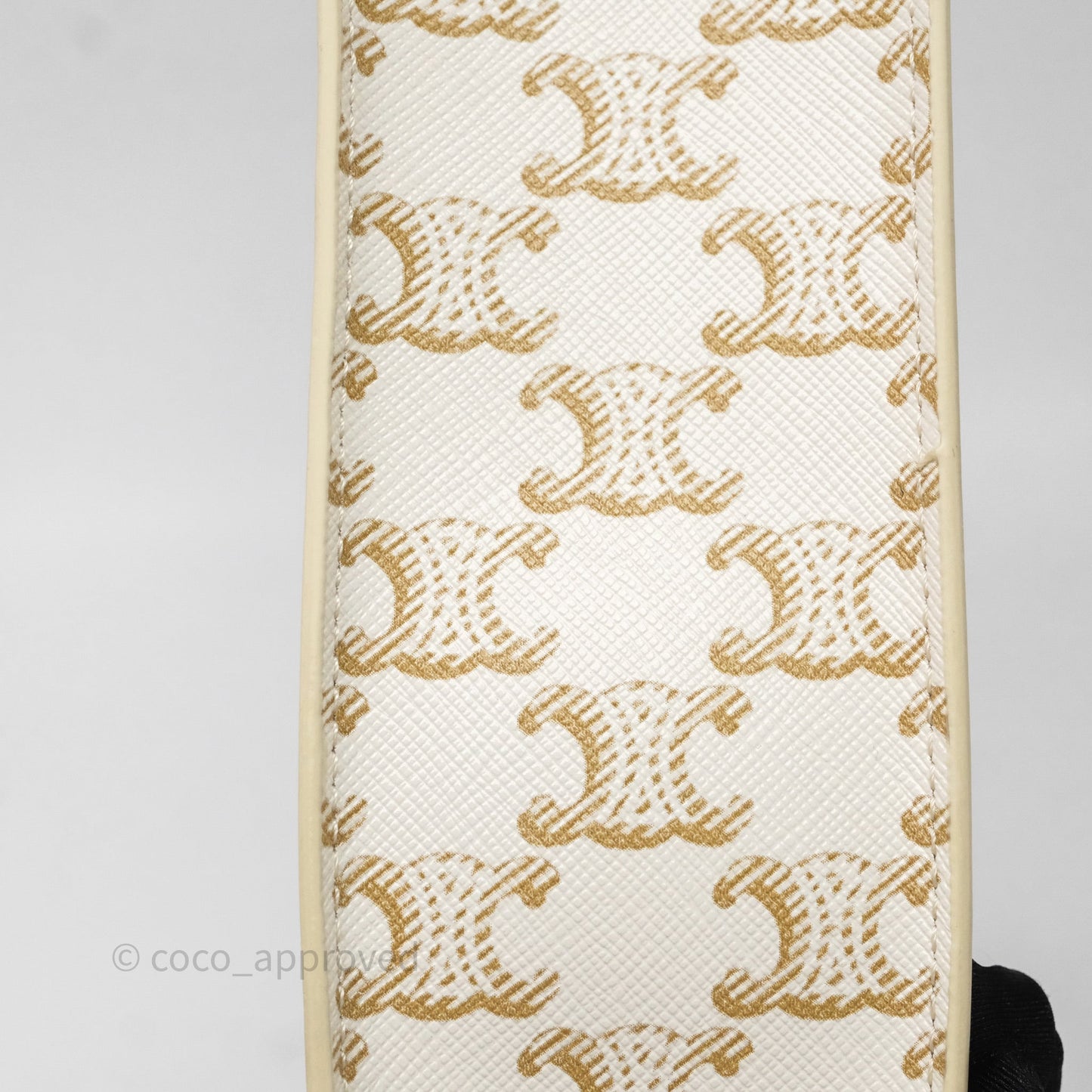 Celine Mini Vertical Cabas Bag Triomphe Canvas White