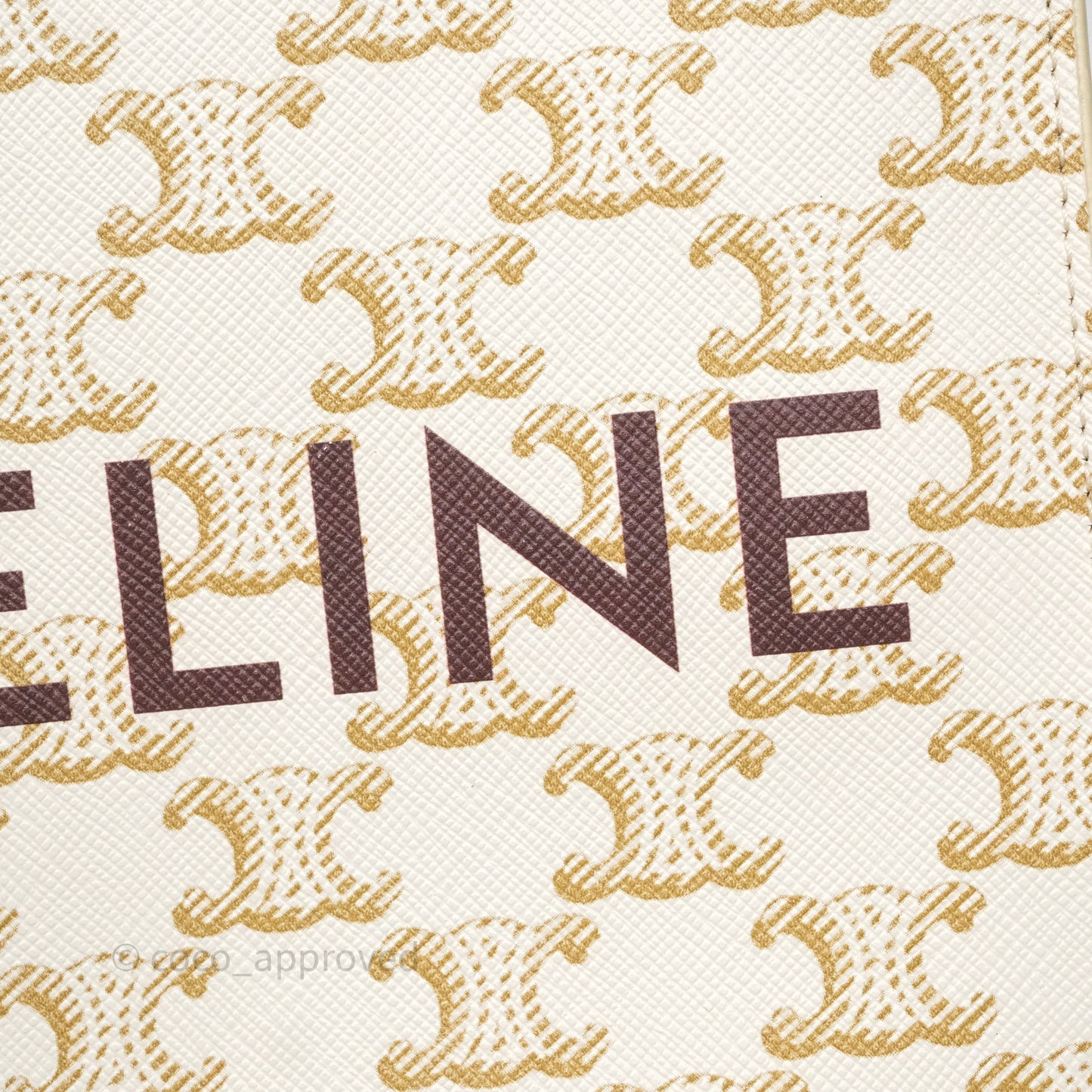 Celine Mini Vertical Cabas Bag Triomphe Canvas White